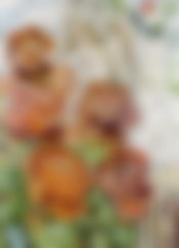 Rose garden (preview)