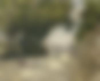 Vue des quais a Paris (preview)
