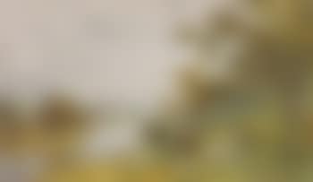 Sheep grazing by a stream. Sheep grazing in a rural landscape (preview)