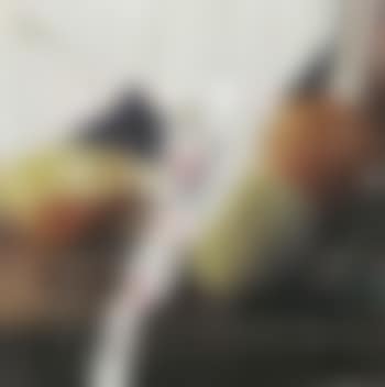 Fruit (preview)