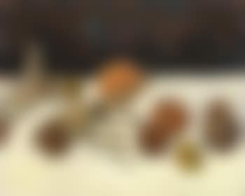 Still life (preview)