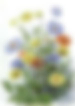 Midsummer flowers (preview)