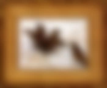 Winter landscape with sparrows (preview)