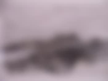 Rhoscolyn, Anglesey (preview)