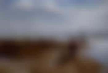 Beside the shore, Isle of Wight (preview)