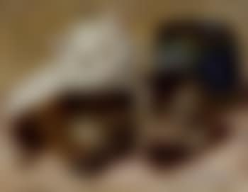 Two kittens (preview)