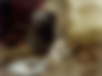 New distraction (preview)