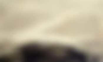 Landscape (preview)