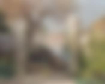 Porte du jardin (preview)
