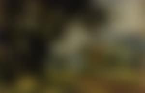 Landscape (preview)