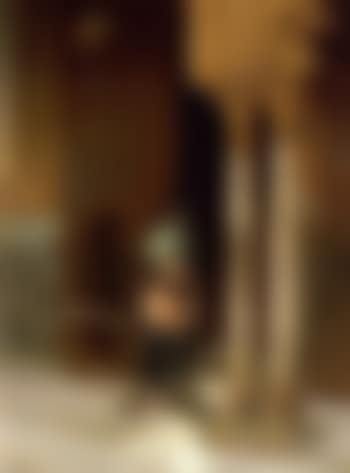 Palace guard (preview)