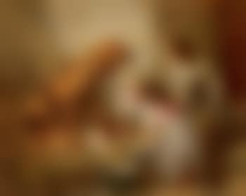 Seeing after the pups (preview)
