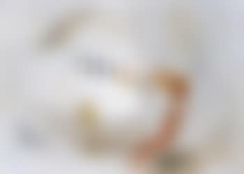 Les ballons (preview)