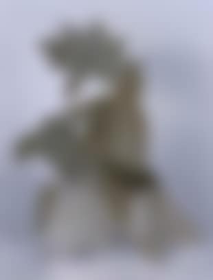 Le coq et le lion (preview)