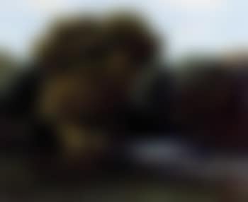 Paysage avec un pecheur (preview)
