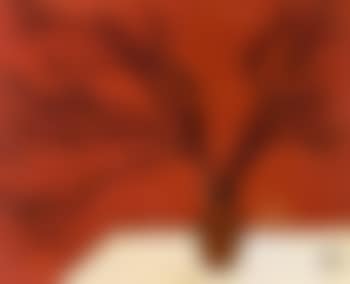 Branches (preview)