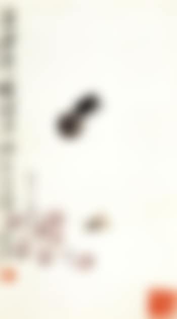 Grapes and insects (preview)