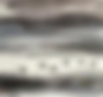 Wild geese flying over a reedy pond (preview)