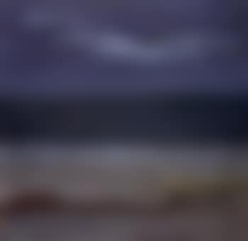 On the beach (preview)