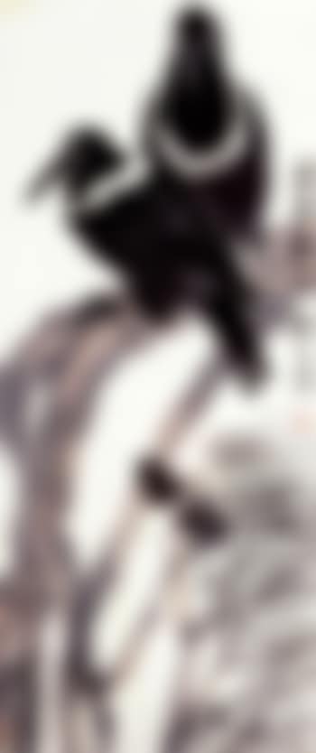Birds and pine (preview)