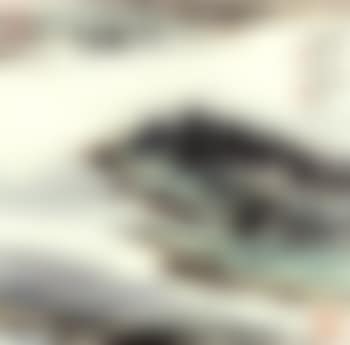 Landscapes (preview)