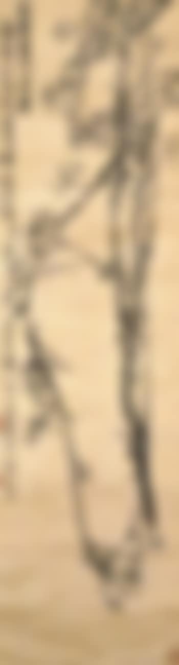 Plum blossom (preview)