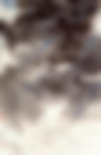 Flying dragon (preview)