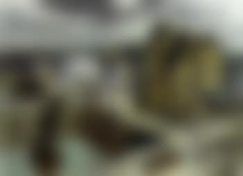 Honfleur, la lieutenance et le port (preview)