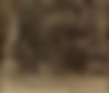 Young child with cat (preview)