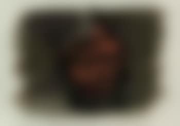 The cook (preview)