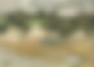 Judges bay, Parnell (preview)