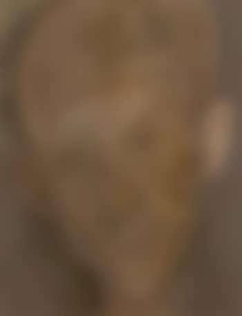 Self portrait (preview)