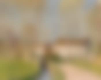 Paysage (preview)