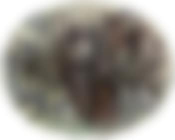 Sarriette (preview)