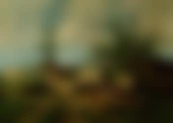 Farmyard with chickens (preview)