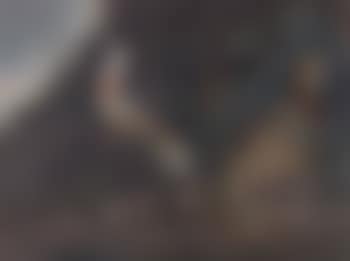 Perdrix and pigeon (preview)
