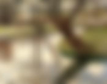 Pre au bord de la riviere (preview)