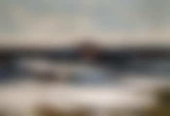 Snow in the countryside (preview)