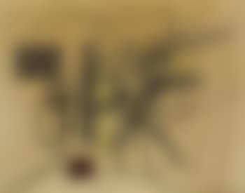Untitled (preview)
