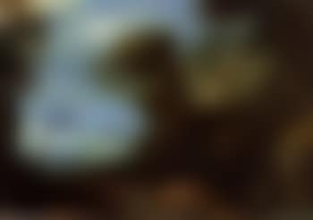 Travellers on road. Landscape with falconers (preview)
