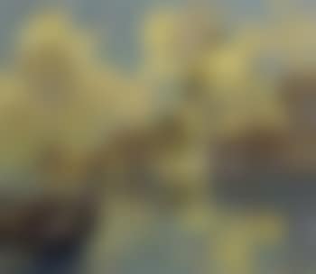 Venice - view of St Maria della Salute (preview)