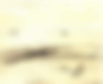 Plage (preview)