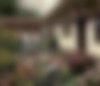 The gardener's flowers - grandmother and child by flowerbed (preview)
