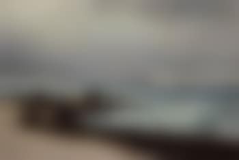 Gathering seaweed at Hornbaek beach (preview)