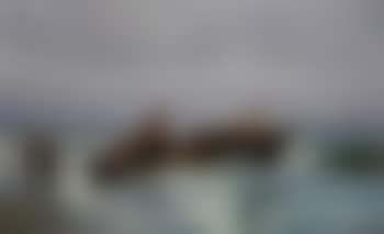 Lifeboat going out (preview)