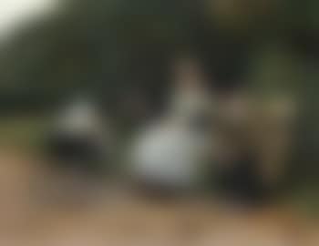Nursery maid with baby in pram and gentleman on bench (preview)
