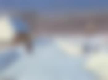Country road in winter, sunshine (preview)