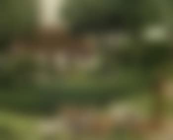 Geese by pond, thatched farm in background (preview)