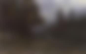 Man by woodland tarn (preview)
