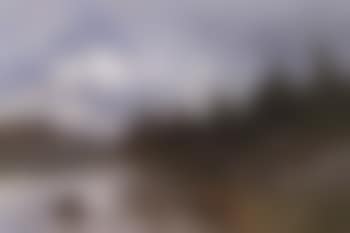 Landscape from Nordmarka (preview)